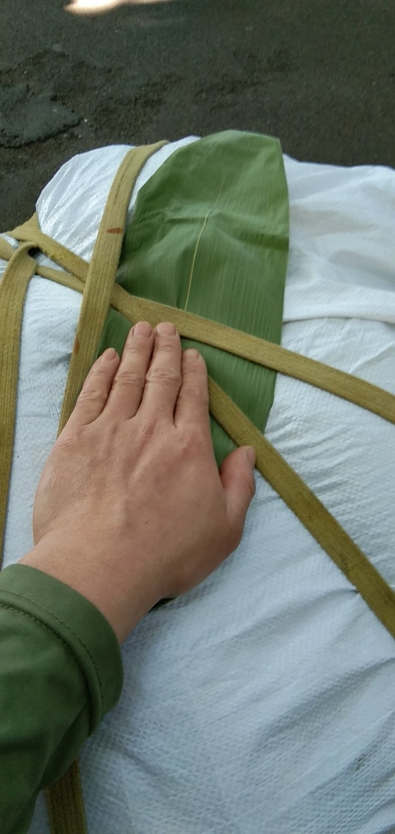 粽叶
