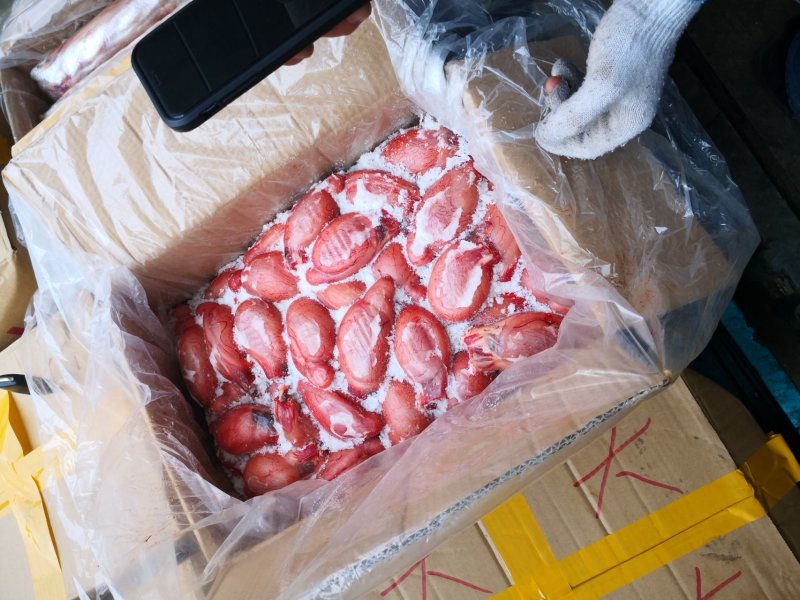 羊宝羊蛋，全国可发，冷冻物流，量大从优