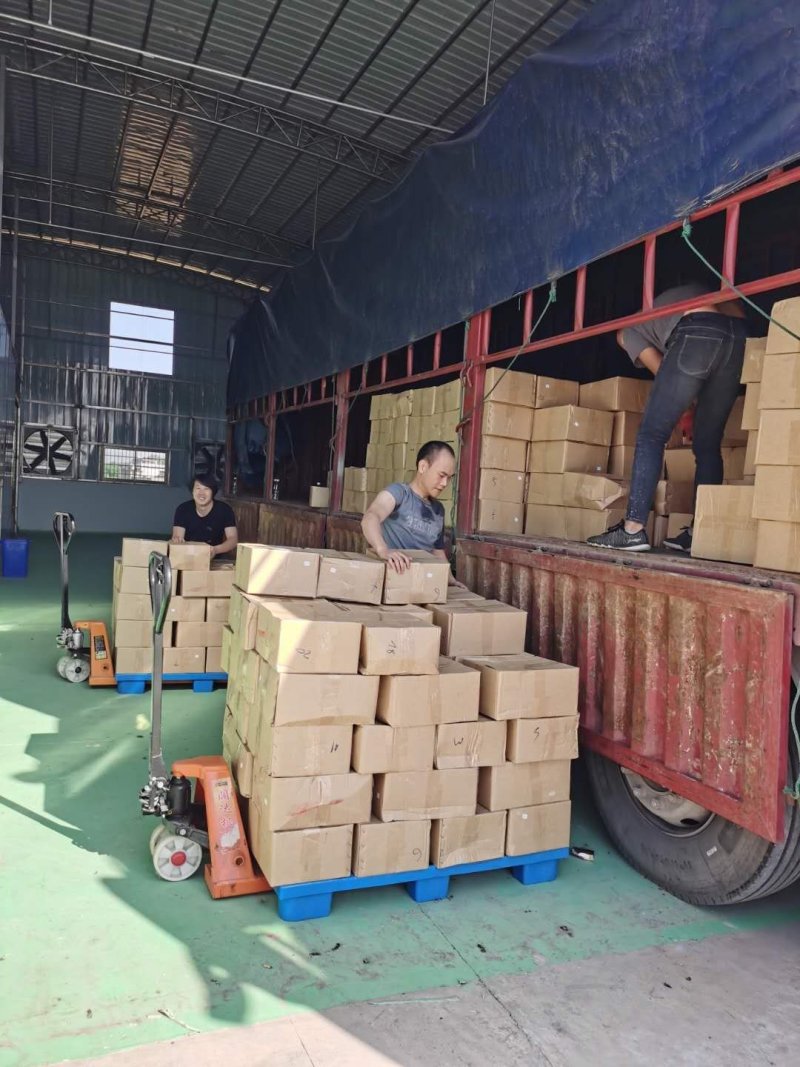 金泰煌系列250g净重托盘芒果干，纯大片，欢迎oem