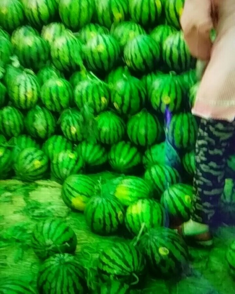 甜王西瓜
