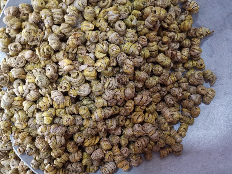 铁皮石斛霍山石斛胶质多化渣少各种规格产地直销