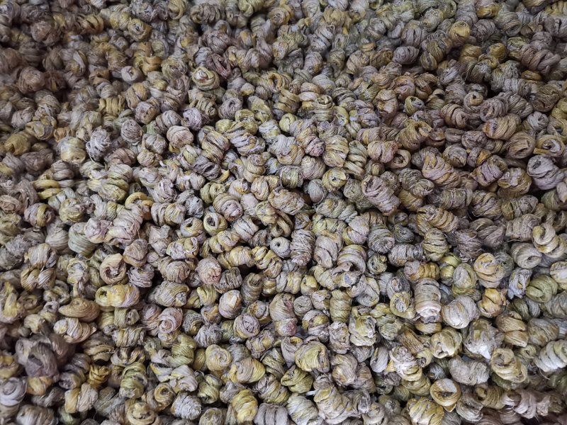铁皮石斛霍山石斛胶质多化渣少各种规格产地直销