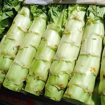 莴笋大量有货