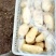 土豆大量