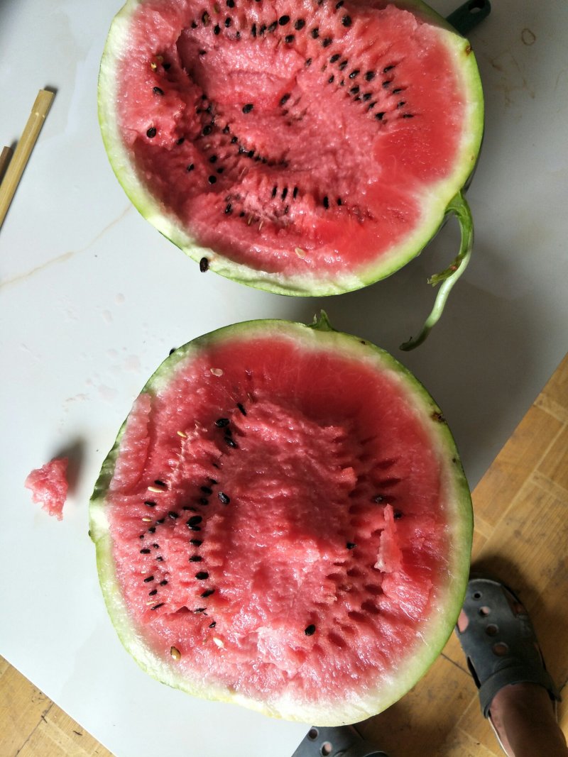 河南开封精品美都货源充分糖分13