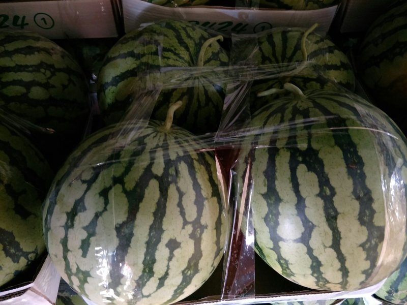 河南开封精品美都货源充分糖分13