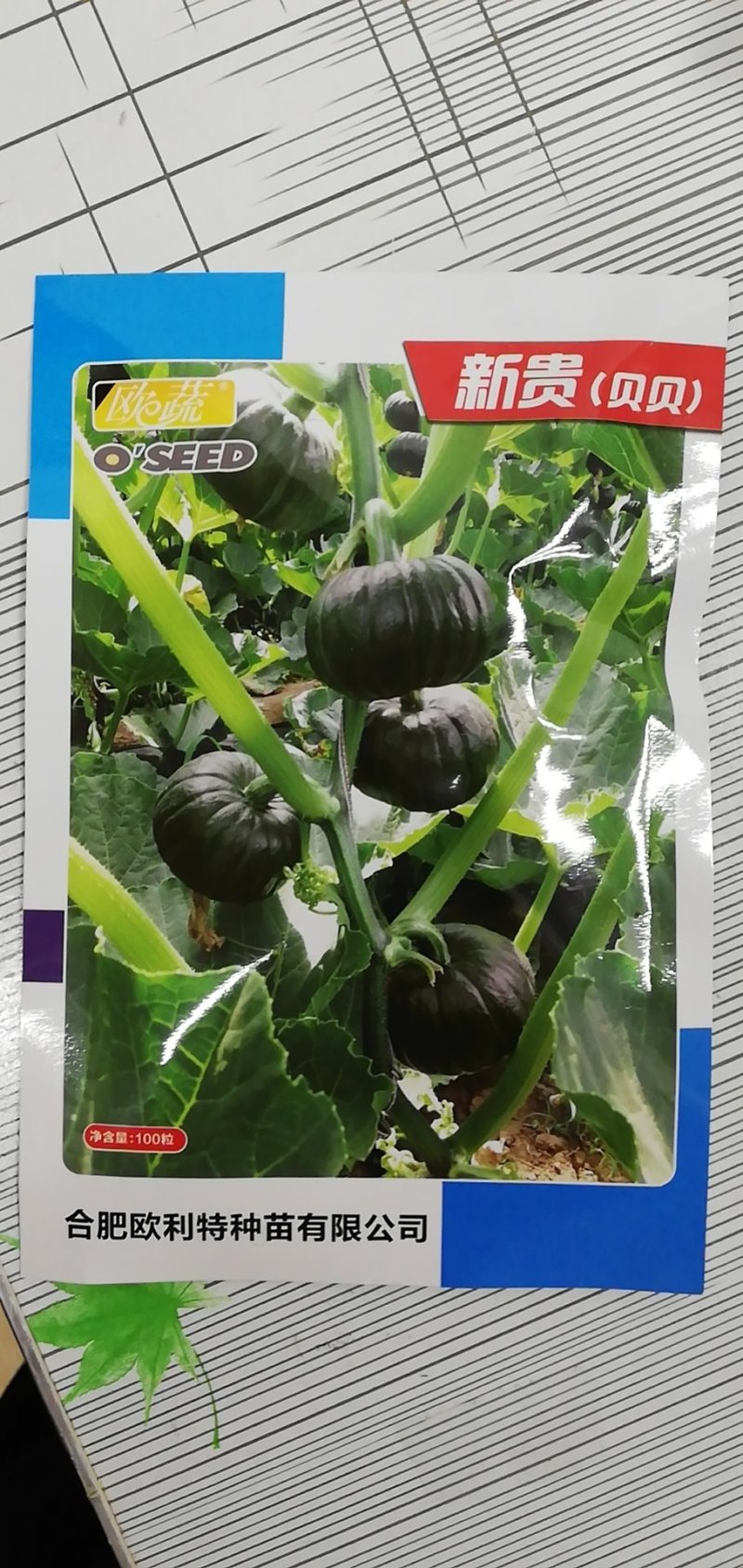 贝贝南瓜种子，欧贝贝爱碧斯，钻石品质，厂价直销，货到确款