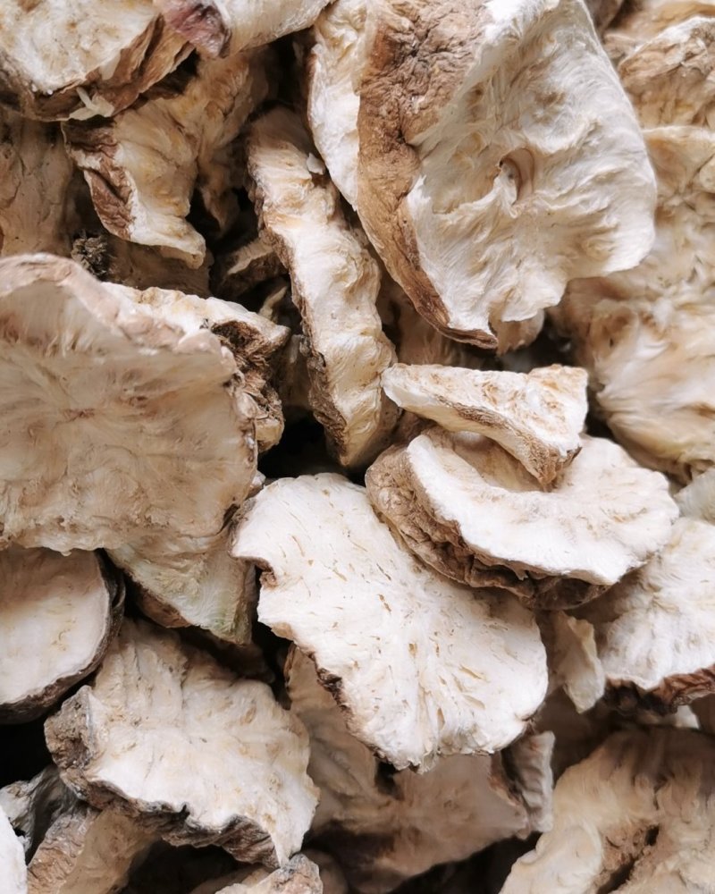 菊苣根菊苣根干货无硫货包邮保证质量量大从优