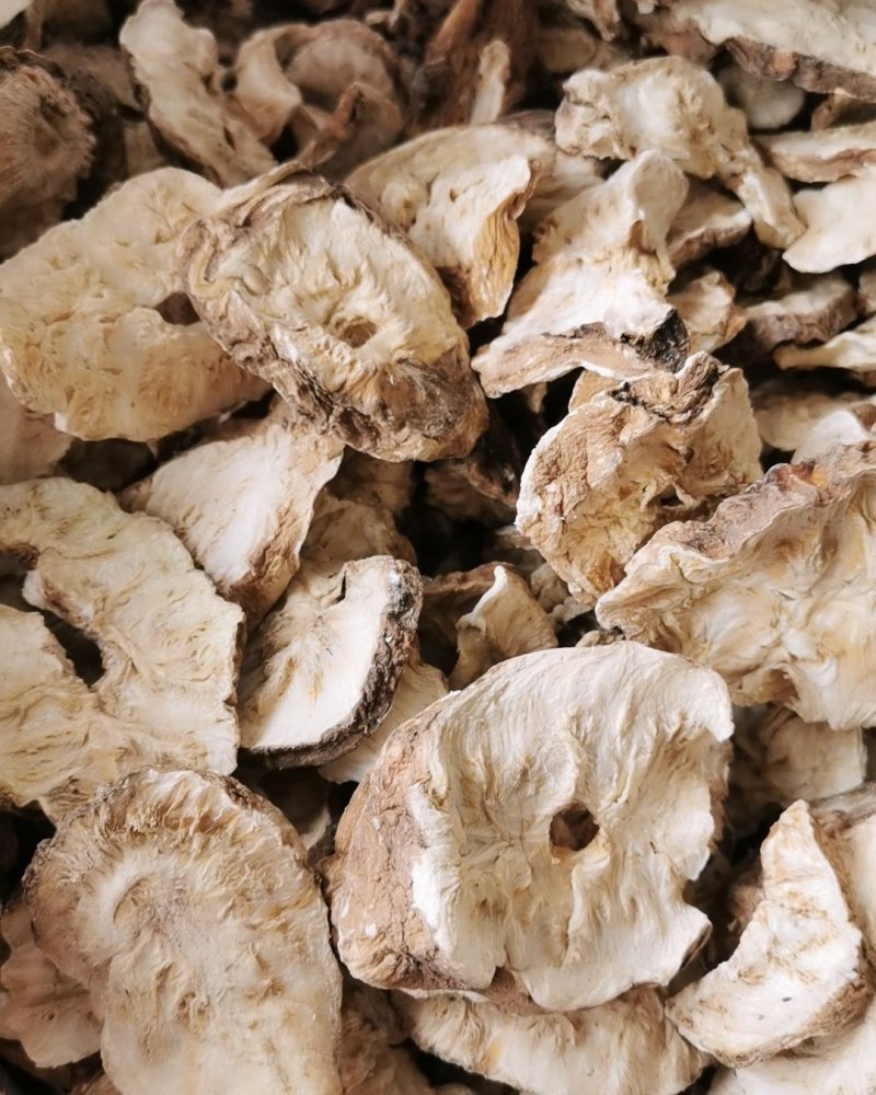 菊苣根菊苣根干货无硫货包邮保证质量量大从优
