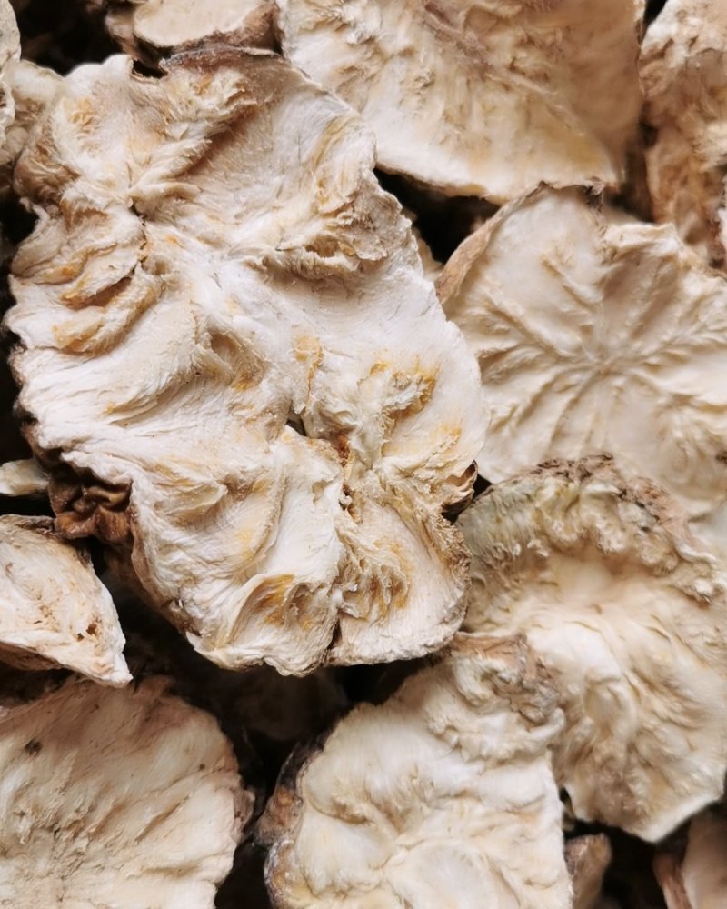 菊苣根菊苣根干货无硫货包邮保证质量量大从优