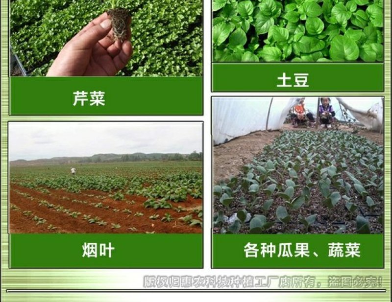 栽苗器种植器点播机施肥器种苗器播种器移栽移苗器插秧机种菜