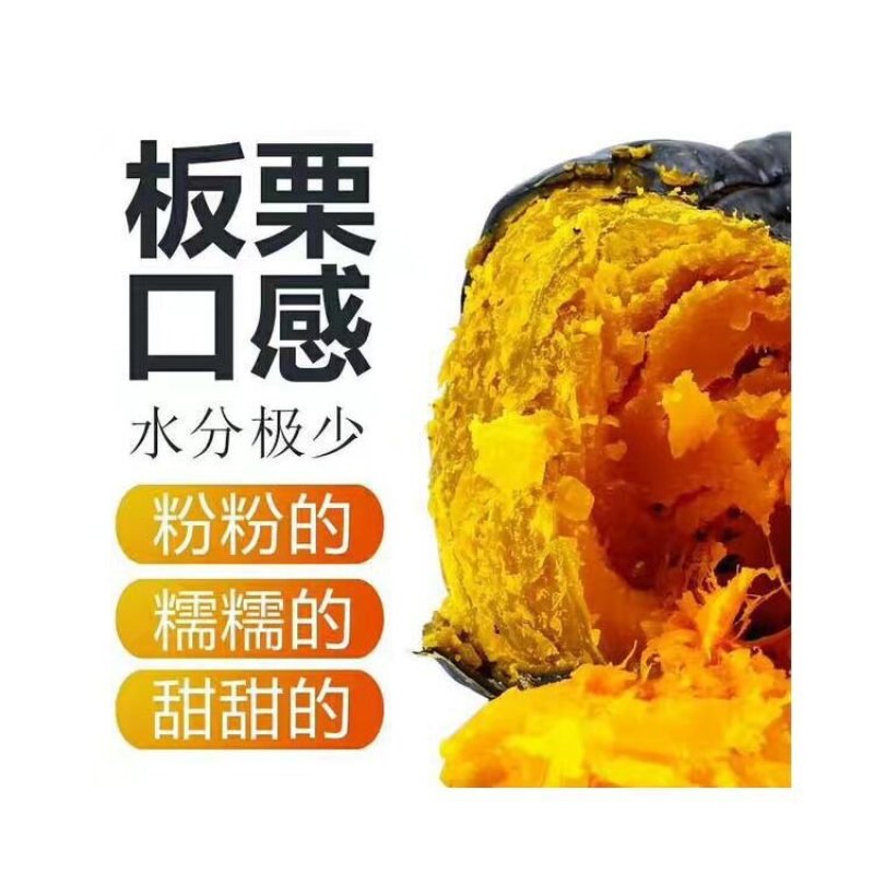 真贝贝南瓜一件代发