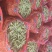 中豌6号9号豌豆量大，万亩基地，可视频看货，老豌豆量大