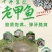 生态甲鱼，鳖