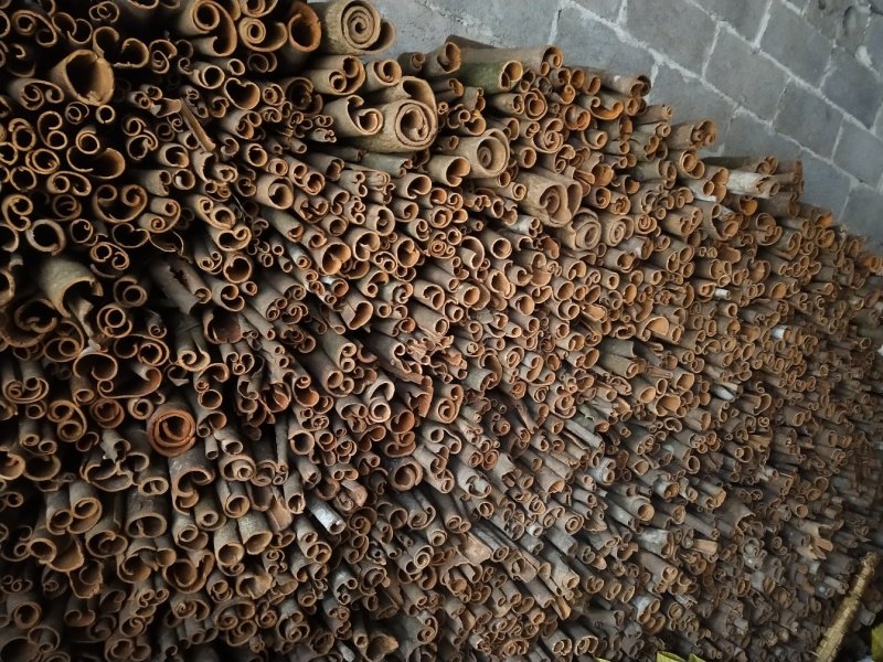 中通桂皮足干无硫定包装40kg/件，产地直发自产自销