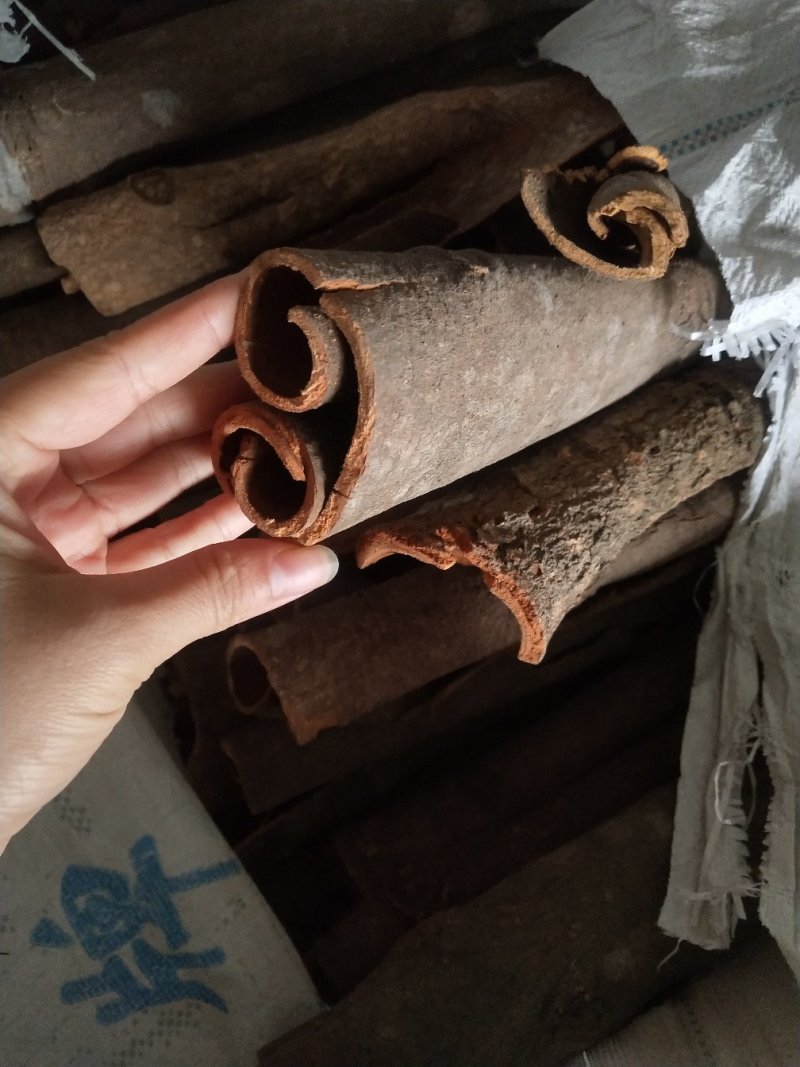 中通桂皮足干无硫定包装40kg/件，产地直发自产自销
