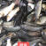 鲤鱼建鲤需要私聊