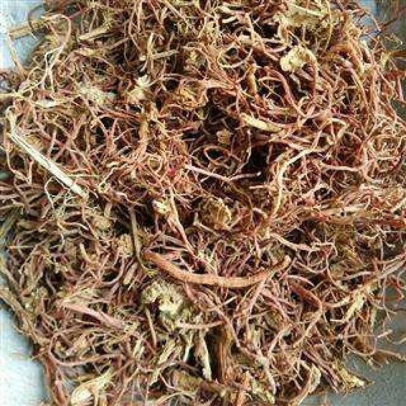 紫苑紫菀子菀子苑青菀返魂草根紫菀