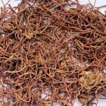 紫苑紫菀子菀子苑青菀返魂草根紫菀