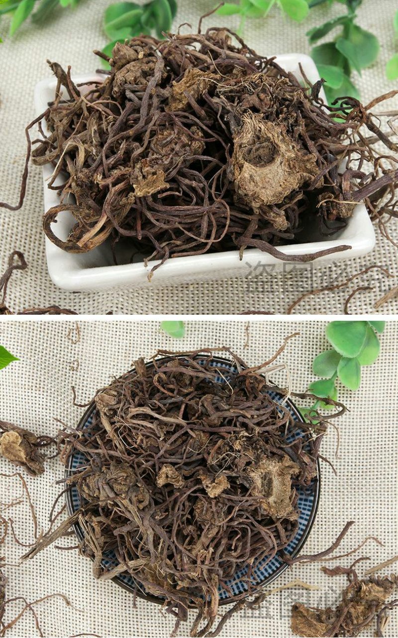 紫苑紫菀子菀子苑青菀返魂草根紫菀