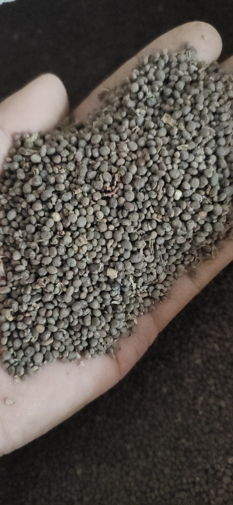 急性子，透骨草，凤仙花