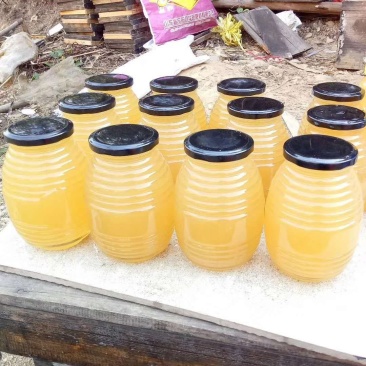 纯野生百花蜜无添加剂安全自然健康甜度高纯手工家居饮品