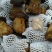 新鲜黑牛肝菌一公斤野生菌食用菌包邮基地直发
