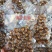 建水特产干豆腐