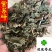 紫苏叶苏叶供应各种中药材统货看规格下单
