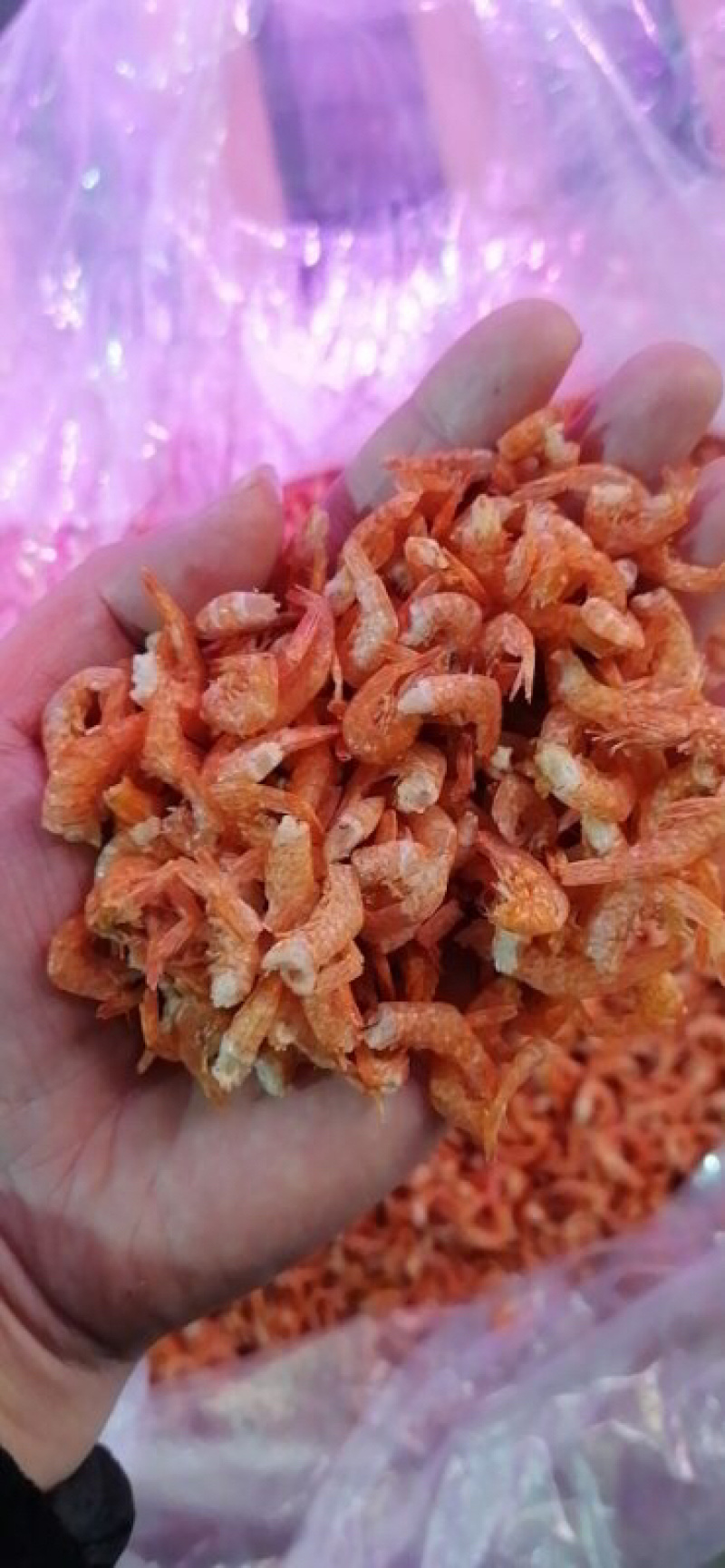 虾干去头虾干无头虾干