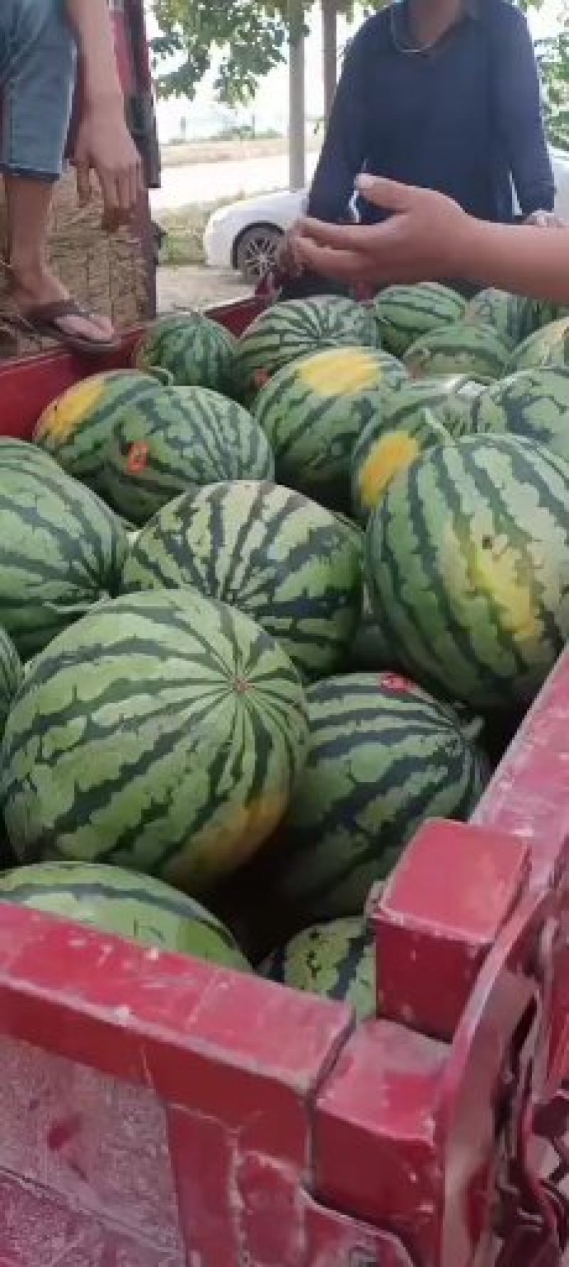 甜王