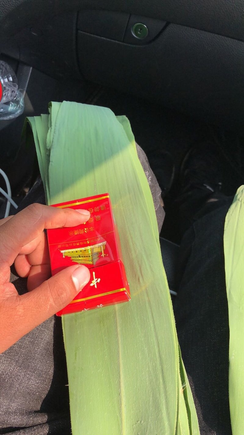 粽叶精选芦苇叶，欢迎选购量大从优产地直供