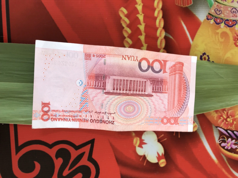 粽叶大量供应芦苇叶欢迎前来选购量大从优欢迎资询