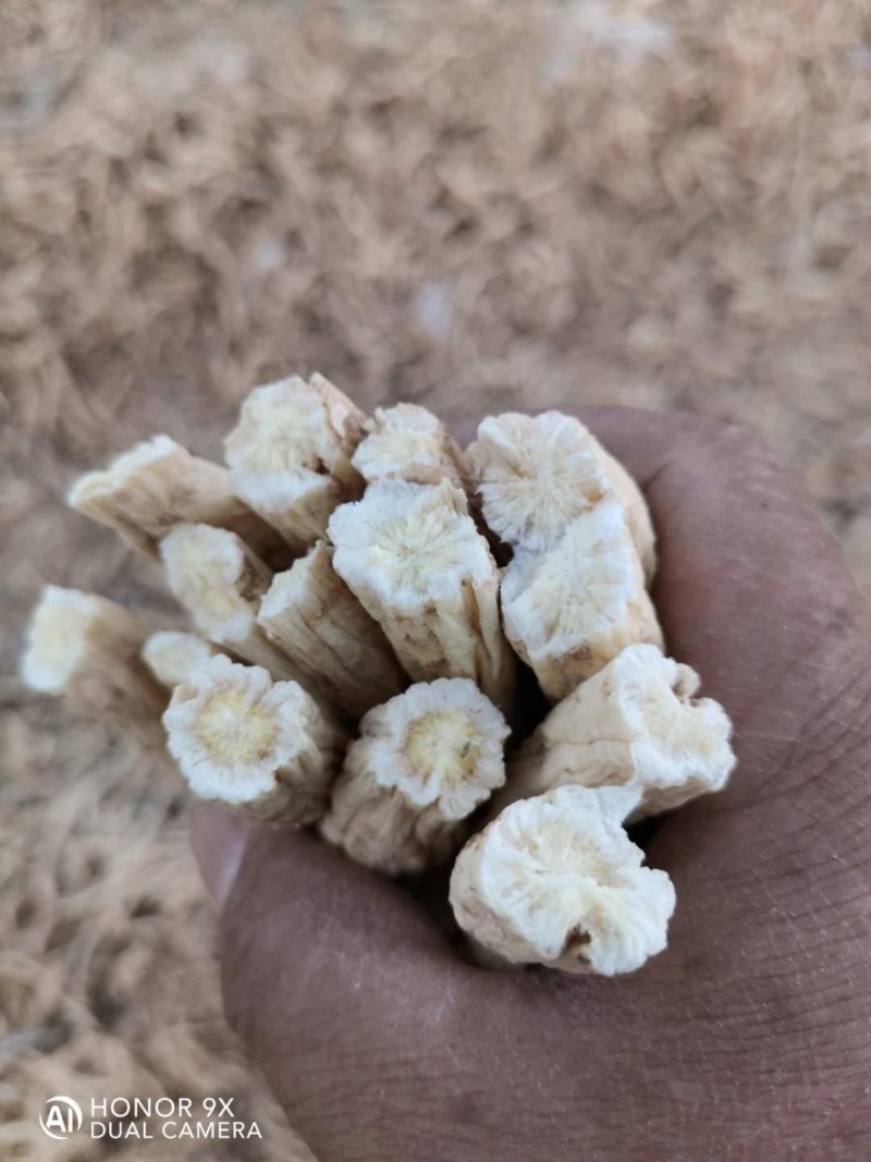 三年水洗皮干桔梗，质量好，一手货源