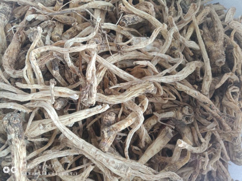 三年水洗皮干桔梗，质量好，一手货源