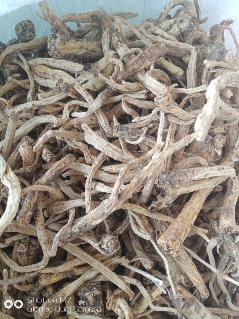 三年水洗皮干桔梗，质量好，一手货源