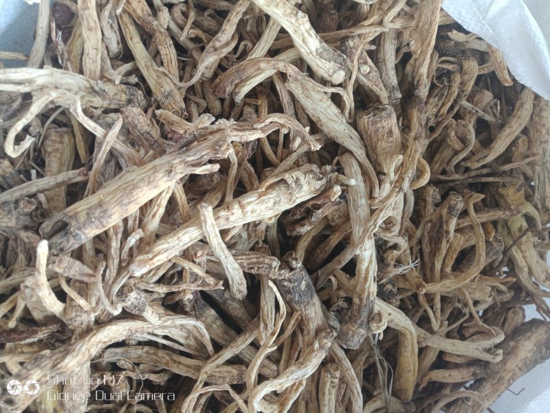 三年水洗皮干桔梗，质量好，一手货源