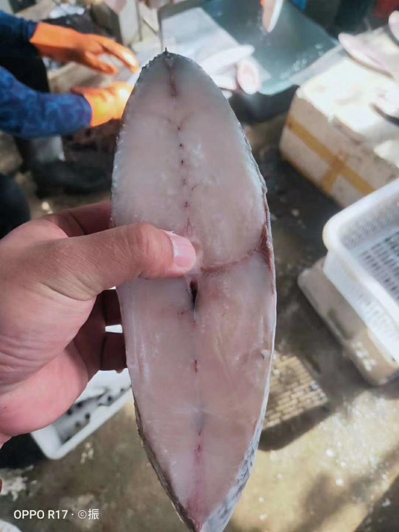 马鲛鱼片，专吃红鱿长大的马鲛鱼