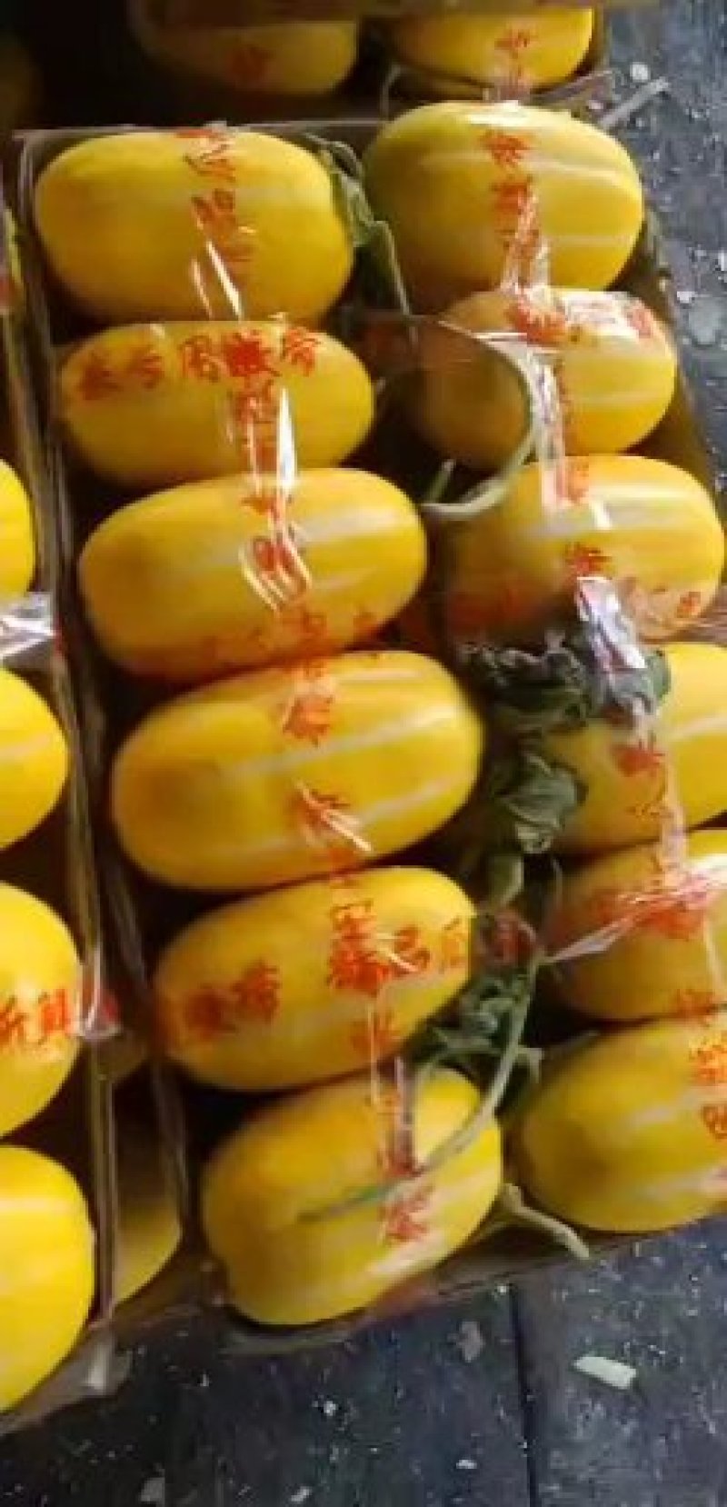 甜瓜，香瓜，哈密瓜，品种齐全！价格超低，皮毛口感甜度一级