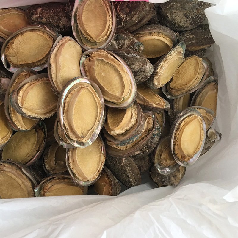 【支持一件代发】冻干鲍鱼礼盒装送礼佳品，赠送爆汁