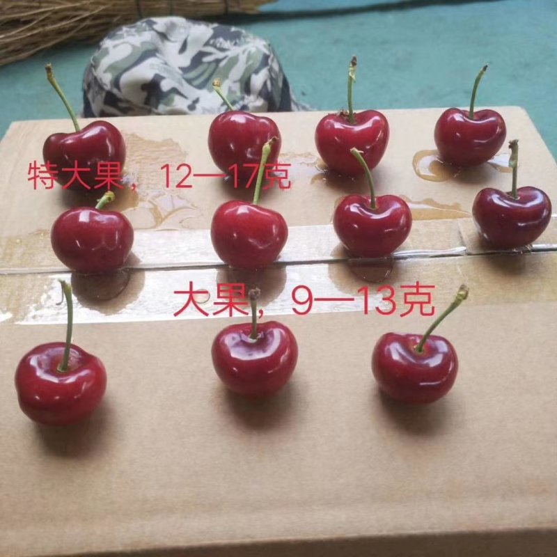 车厘子