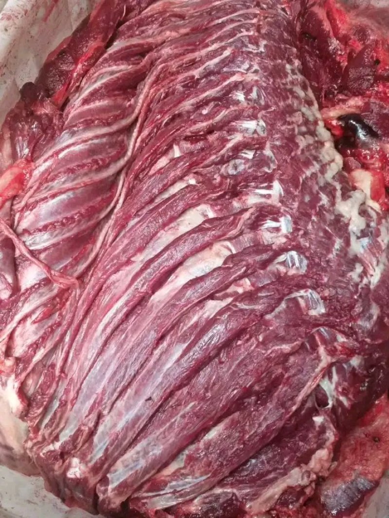 新鲜驴肉大量到货，肉质鲜美，欢迎各位前来采购