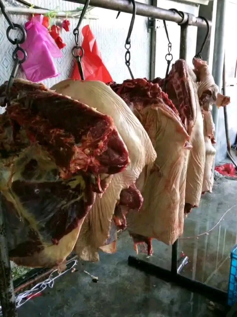 新鲜驴肉大量到货，肉质鲜美，欢迎各位前来采购
