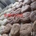 建水特产燕窝干米线