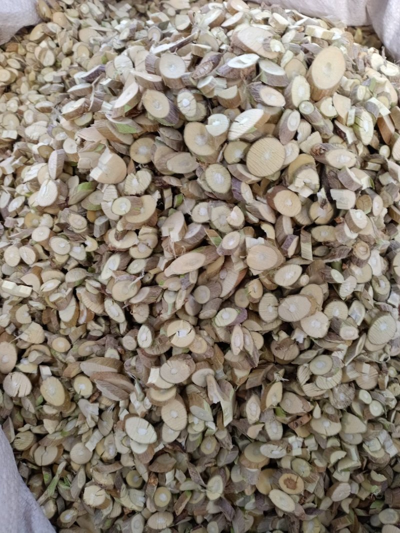 野生桑枝！自产自销！大货批发一手货源价格优！