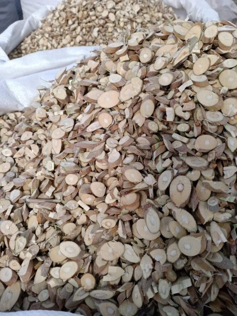 野生桑枝！自产自销！大货批发一手货源价格优！