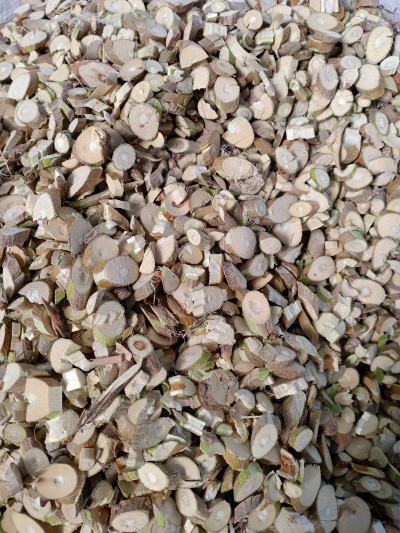 野生桑枝！自产自销！大货批发一手货源价格优！
