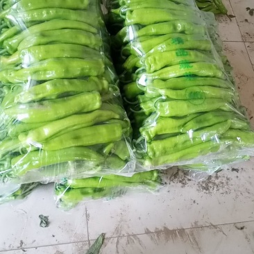好尖椒