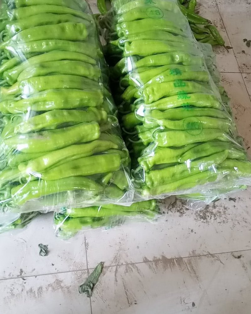好尖椒