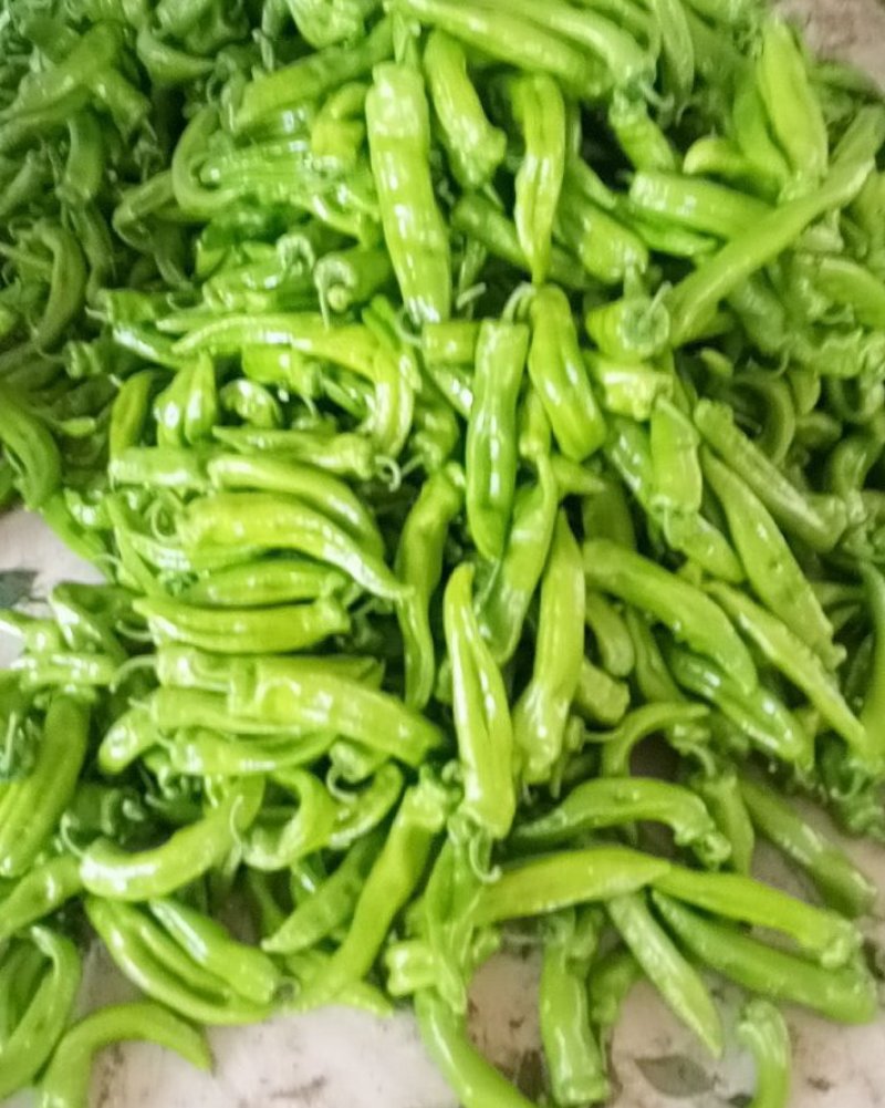 好尖椒